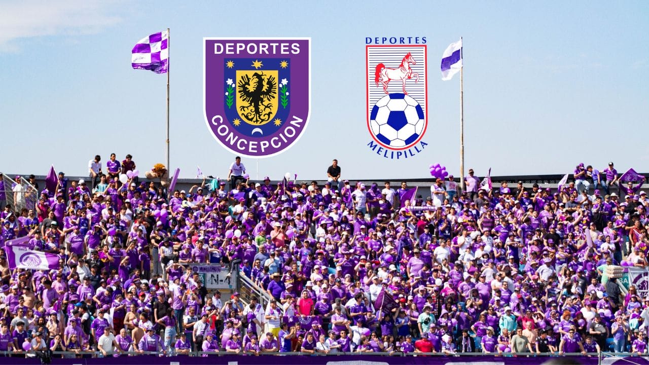 “Un vacío normativo”: la Primera Sala del Tribunal de Disciplina se desentiende ante un posible ascenso de Deportes Concepción