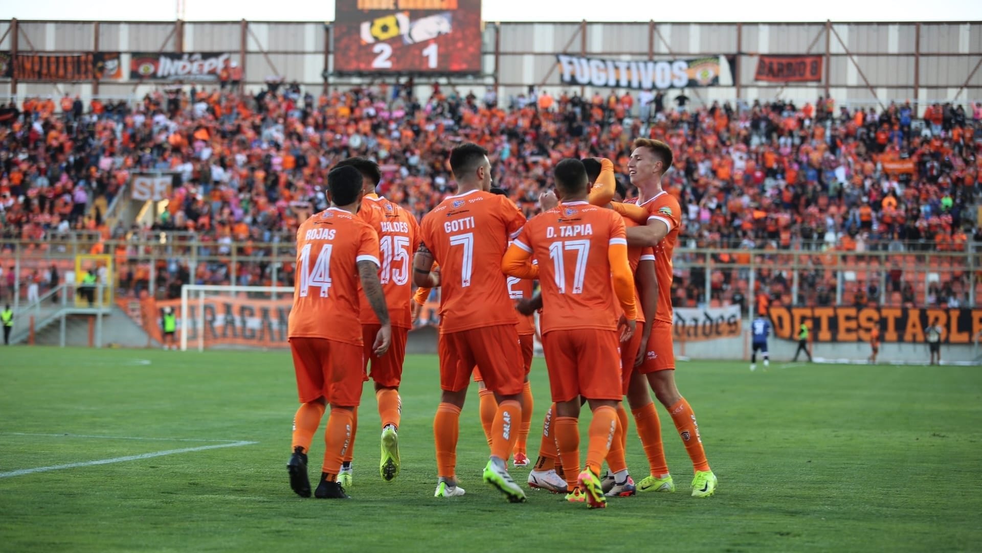 ¿Llega o no? Cobreloa sale al paso por la no presentación de crack del Udinese que firmaron en mercado de pases