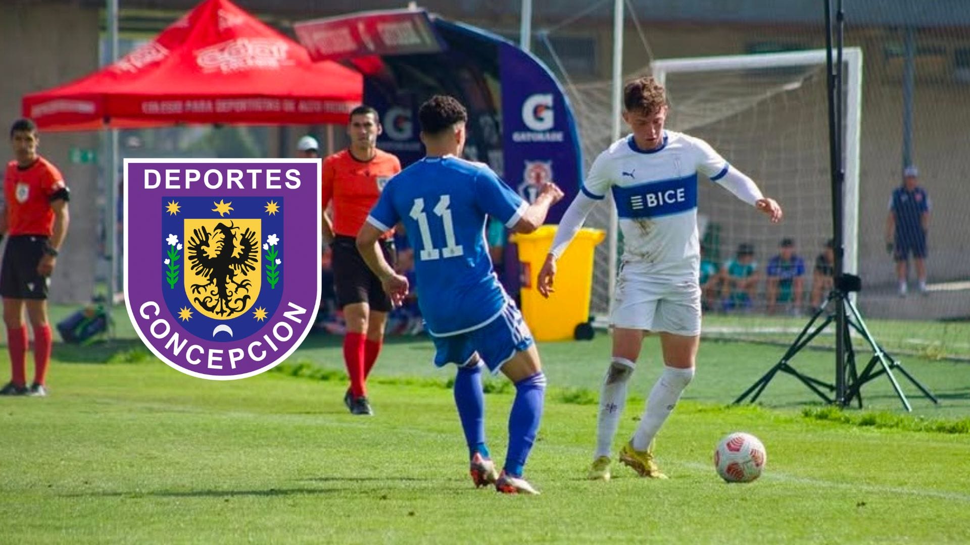 Llega desde la UC: Deportes Concepción ya tiene a su cuarto refuerzo