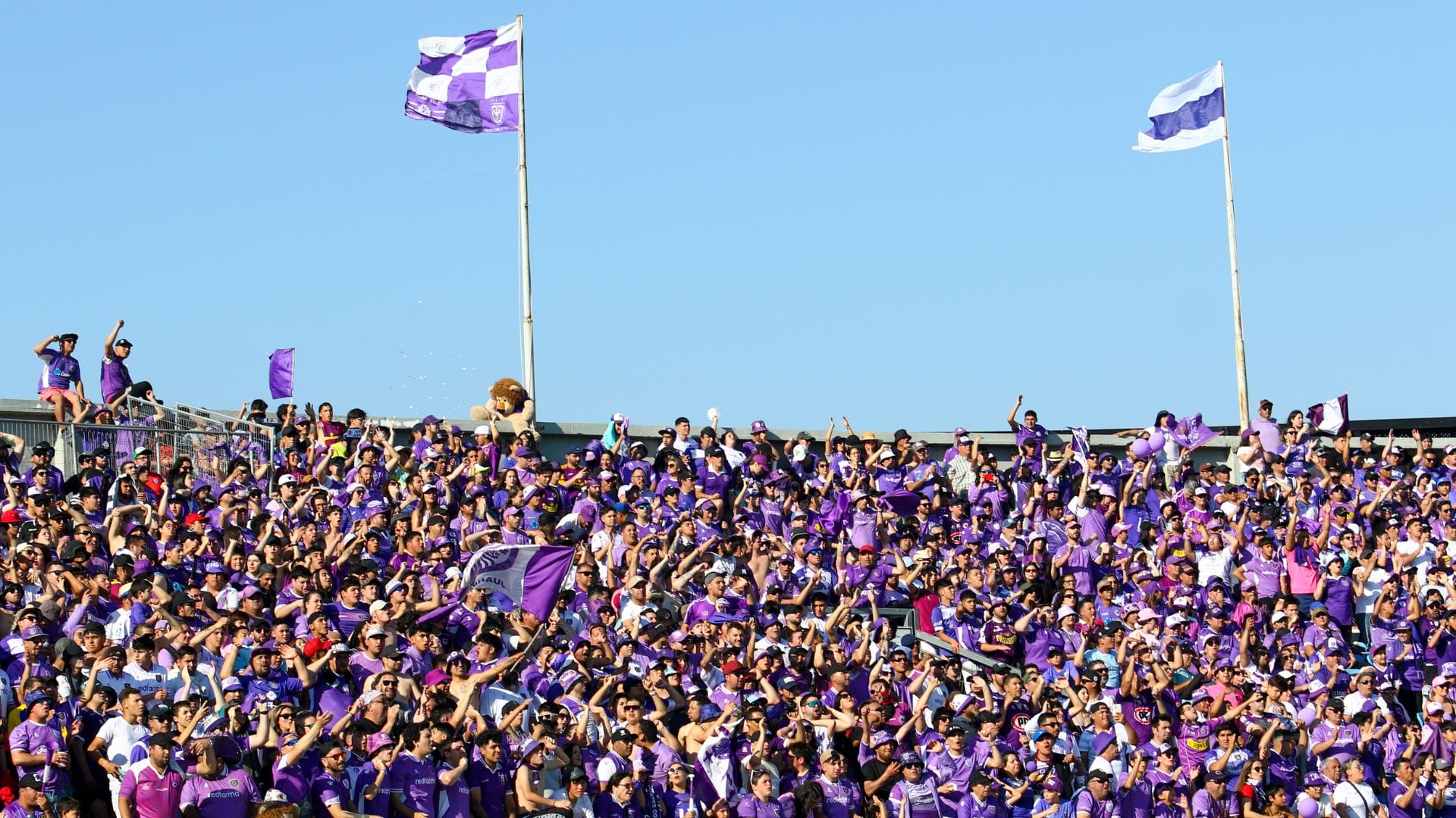 Deportes Concepción tiene nuevo DT