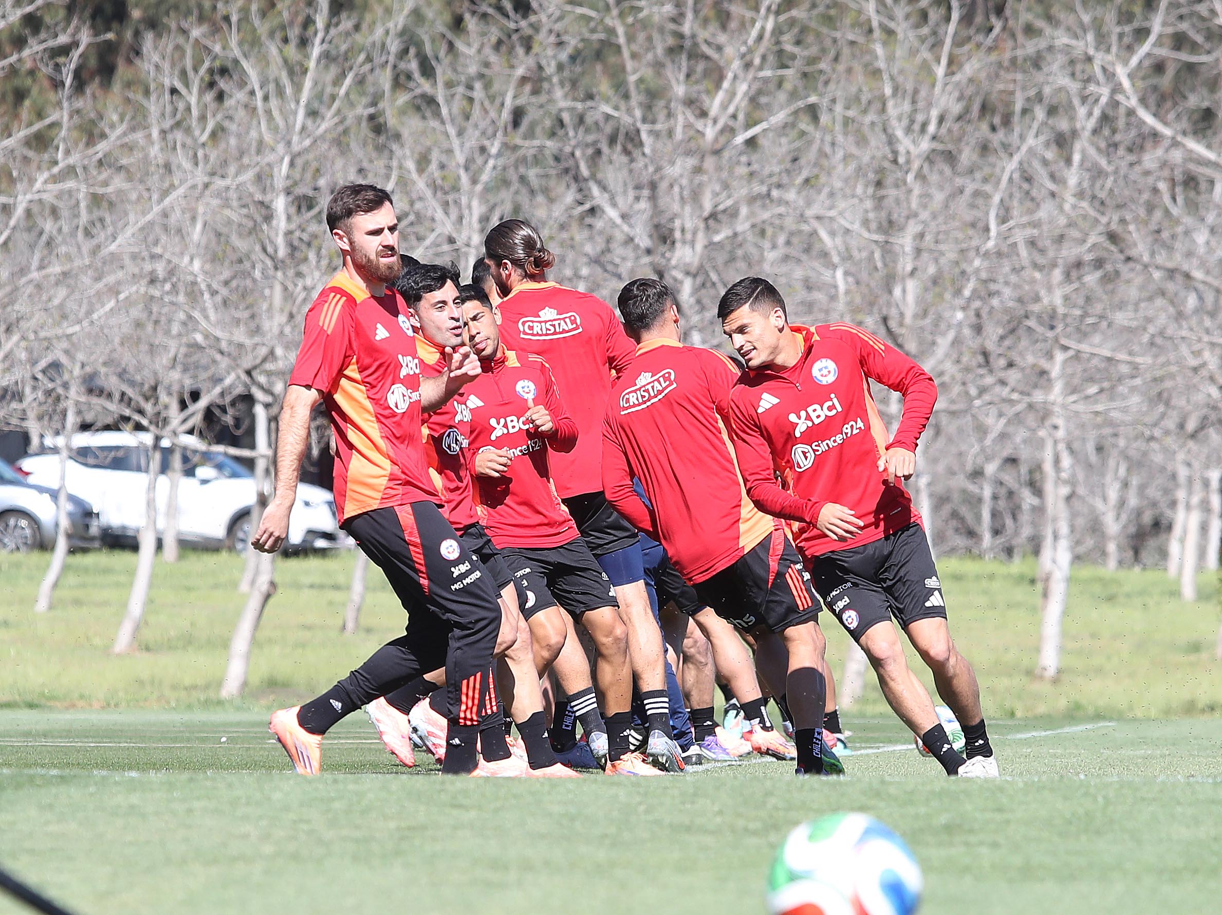 “Es el favorito”: ex referente de La Roja dio nombre del DT que podría llegar a la Selección Chilena