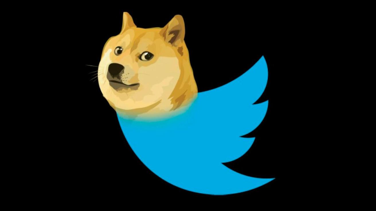 ¿Notaste algo inusual en Twitter?: El nexo entre el “perrito del meme” y las criptomonedas de Elon Musk