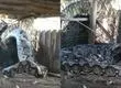 ¡Impresionante! Serpiente gigante aparece en el patio de una casa de India